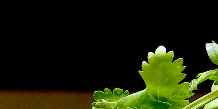 Datenschutzerklärung Datenschutzerklärung